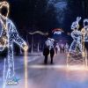Nocny wesoły spacer po Łazienkach Królewskich