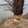Jesienne Klimaty nad Wisłą i Świdrem
